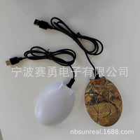 Bird Bath De-icer Heater冬季家禽恒温鸟浴加热器热水器除冰器