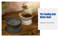 Double-Sided Tilted Pet Feeder Bowl, Neck Protection, Elevated Food Water Dish, Anti-Spill Design