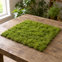 artificial moss mat