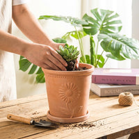 Plant Pots for Every Indoor Plant Pot, Retro Roman Style Terracotta Plant Pots for Outdoor Plants, 16 Pack Clay Pot Set for Home Office, Saucer