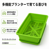 Rectangular Planter, For Home Vegetable Gardens, Flower Pot, Large, Plastic, Drainage Holes, With Saucer