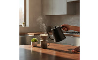 Exact Electric Gooseneck Kettle Digital Pour-over Kettle for Tea Drinkers