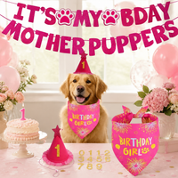 Dog Birthday Costume Banner, Cone Hat, Triangle Bandana Set, Pet's Special Day Celebration