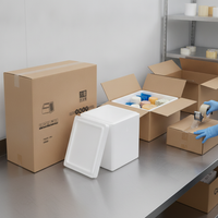 Thickened 5cm Foam Cooler Box for Medical Cold Chain Transport