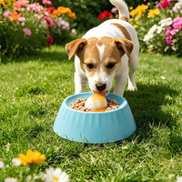 Slow Feeder Bowl Wide Slow Feeder Dog Bowl Interactive for Fast Eaters, Cats, Indoor, Outdoor