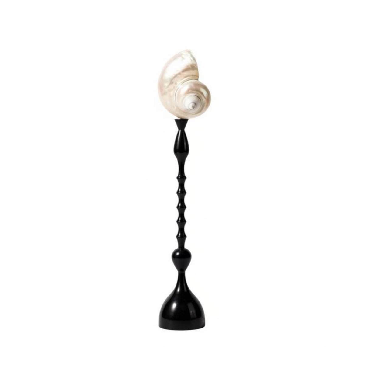 Decorative Sculpture French Vintage Coastal Mollusk Ornament Minimalist Black Stand Modern Shell Statue for Shelf