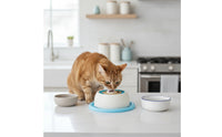Textured Lick Bowl with Silicone Base Non-Slip Lick Bowl Stable Interactive for Dogs, Grooming