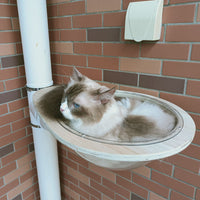 diy下水管pvc  排水管改造猫爬架配件猫窝太空舱道自制通天柱猫架