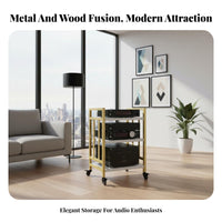 Large Capacity Multi-Tier Amplifier Stand Stable Steel Frame Mobile Audio Equipment Cabinet Easy Assembly Multi-Tier Equipment Shelf Heavy Duty for Audiophiles, Studio, Living Room