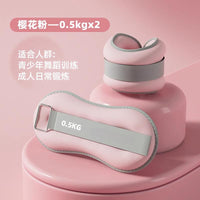 舞蹈沙袋负重手环女士健身家用力量训练器材杠铃跑步绑腿能量管 樱花粉【1KG*2】总重2KG/适合成年男女负重训练