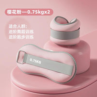 舞蹈沙袋负重手环女士健身家用力量训练器材杠铃跑步绑腿能量管 樱花粉【1KG*2】总重2KG/适合成年男女负重训练