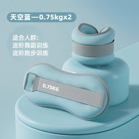 舞蹈沙袋负重手环女士健身家用力量训练器材杠铃跑步绑腿能量管 樱花粉【1KG*2】总重2KG/适合成年男女负重训练