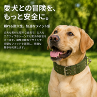 Nylon Webbing Dog Collar, Adjustable, Durable, for Small, Medium, Large Dogs, Walking, Training
