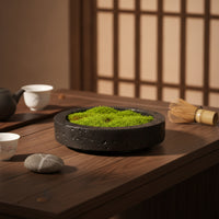 Bowl Planter Low-Profile Shallow Planter Stone-Look Decorative Pot for Living Room, Reception Desk, Hotel Reception Area