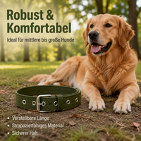 Dog Collar, Adjustable Nylon Dog Collar 3cm Wide, Robust Collar for Dogs 16-40kg, with Quick Release Buckle for Training & Walks