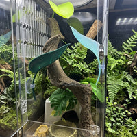 2 Pack Suction Cup Leaf Basking Perch for Geckos and Tree Frogs, Water-Resistant Climbing Surface, Smooth Hide for Glass Enclosure