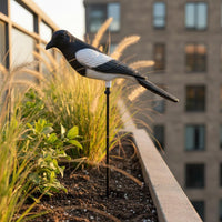 Waterproof Fake Magpie Plastic Realistic Magpie Model Lifelike Outdoor Bird Prop Weather-Resistant for Yard, Orchard
