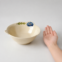 Classic Modern Curry Plate, Pasta Plate, Small Bowl, Ceramic, Floral Pattern, Microwave Safe