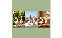 2 Pieces Duck Garden Ornaments Decorative Duck Statues with Boots for Yard
