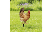 Decorative Chicken Stake with Ground Insert Reusable Chicken Garden Stake Weatherproof Lawn Ornament Sturdy for Flower Bed