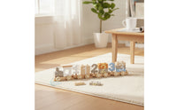 Pull-Along Toy Train Educational Wooden Train with Blocks Building Buildable for Toddlers, Playroom, Preschool