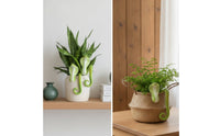 Pot Huggers with Reptilian Pattern Decorative Plant Pot Huggers Playful Hanging Basket Ornament for Interior Stylists