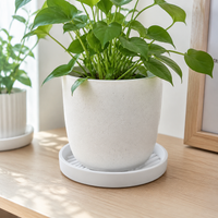 flower pot saucer
