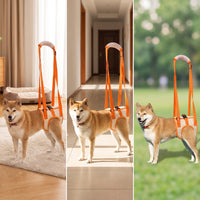 Padded Rear Leg Support Harness Breathable Dog Harness with Leg Holes Comfortable Dog Support Sling Sturdy for Senior Dogs, Rehabilitation, Walking, Veterinary Care