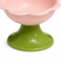Ceramic Raised Cat Dish, Slanted Pet Food Bowl, Elevated Dog Water Feeder, Neck Protection, Anti-Black Chin, Easy Clean