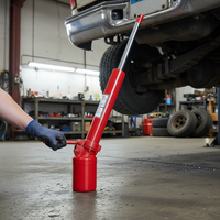 Long Ram Hydraulic Jack 5T 8T 12T Single Pump for Engine Hoist