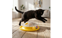 Interactive Cat Toy Exercise Cat Teaser Toy Round for Cats