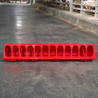poultry feeder