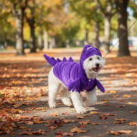 Halloween Dinosaur Pet Costume for Small Dogs and Cats