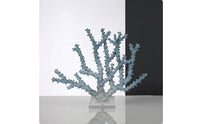 Coral Sculpture with Acrylic Base Coastal Coral Sculpture Elegant Ornament for Entryway