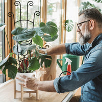 Indoor Plants Garden Trellis for Climbing Plants, Carbon Steel Monstera Support and Plant Support, Tall Garden Trellis
