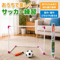 mini soccer goal