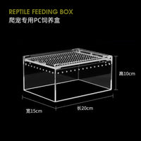 带盖子亚克力爬虫饲养盒爬宠乌龟角蛙螃蟹蜘蛛蛇宠物观察养殖龟盒