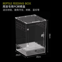 带盖子亚克力爬虫饲养盒爬宠乌龟角蛙螃蟹蜘蛛蛇宠物观察养殖龟盒