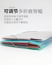 日本kokuyo国誉淡彩曲奇风琴包卷子收纳整理神器简约小清新中学生资料册A4创意多层办公文件夹收纳册学习用品 白色【淡彩曲奇】共7层 约可装250张A4纸