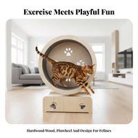 quiet Operation feline sprintning Wheel No Assembly Required Treadmill with Integrated Play framework Promotes Fitness Feline Exercise apparatus Reduces Boredom for Apartment, Indoors, Living Room, Home