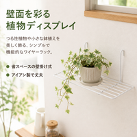 Wire Net, Wall-mounted, Mesh Panel, DIY Storage, White, 50cm x 60cm, Iron-made, 5x5cm Mesh