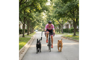 Adjustable Dog Bike Leash with Shock Absorber Sturdy Bike Leash with Shock Absorber Strong Comfortable for Cyclists