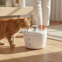Electric Pet Drinking Fountain Noiseless Pump Circulating Cat Water Dispenser Large Capacity Cat and Dog Water Dispenser for Cats, Dogs