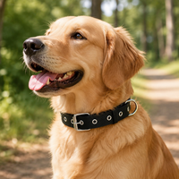 Dog Collar, Adjustable Nylon Dog Collar 3cm Wide, Robust Collar for Dogs 16-40kg, with Quick Release Buckle for Training & Walks