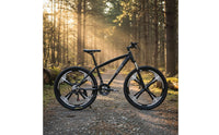 Carbon Steel Frame Multi-Speed Mountain Bike Multiple Wheel Styles Disc Brake Mountain Bike Outdoor Recreation Equipment for Commuting