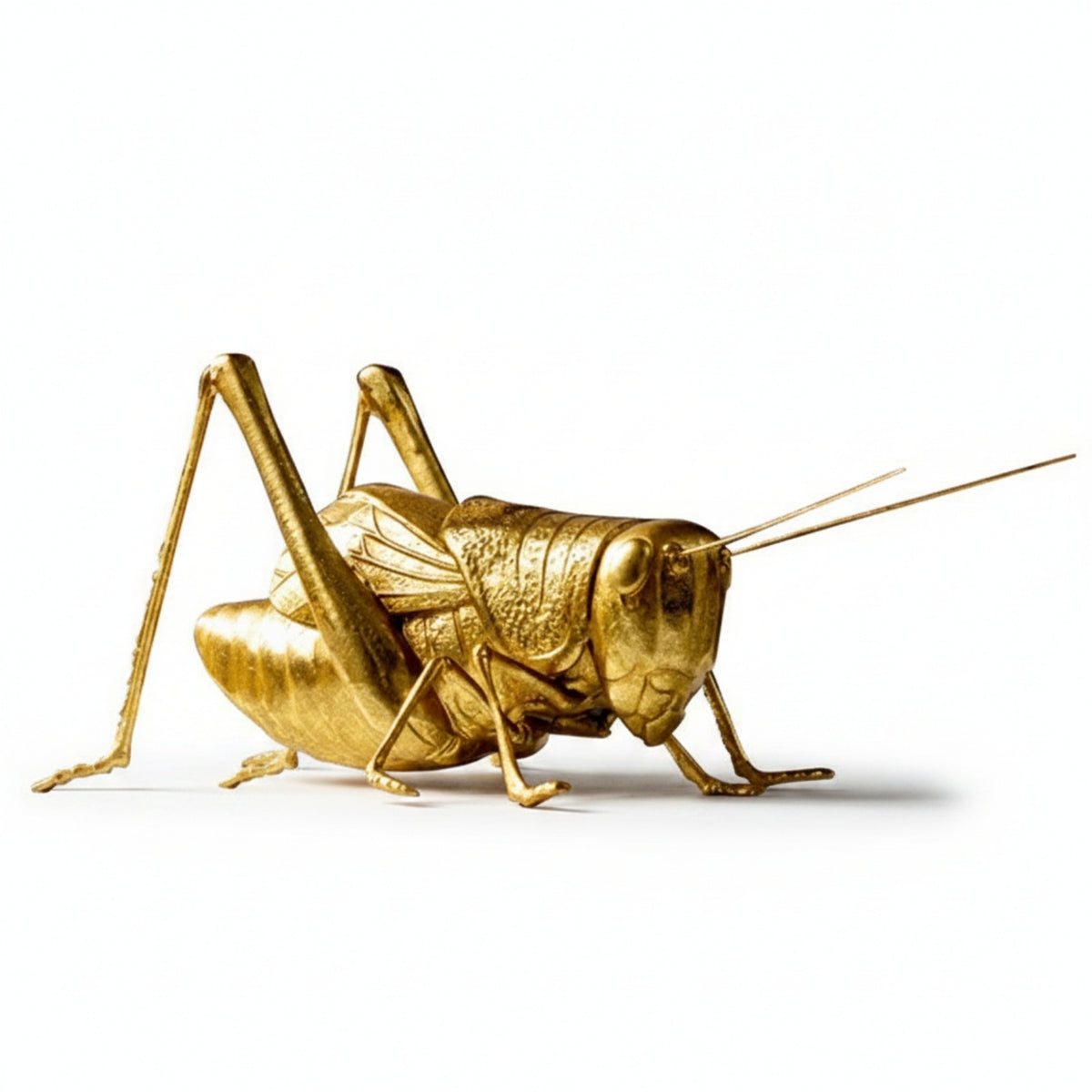 Gold Grasshopper Figurine Resin Grasshopper Ornament Tabletop Figure Slender Legs Long Antennae for Living Room