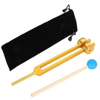 Ear-Picking Tuning Fork Accurate Tuning Fork with Striker Tool Metallic-Finish Portable for Professionals, Personal Care, Travel