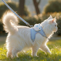 Cat Vest Harness and Leash Set, Durable Polyester Walking Vest with Adjustable Strap, No Pull Walking Harness for Cats for Safe Outdoor Exploration