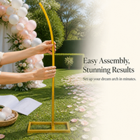 Metal Arch Balloon Stand for Wedding & Event Decor