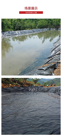 庭院池塘防水专用鱼塘防渗膜别墅园林景观水池鱼池防水布土工膜